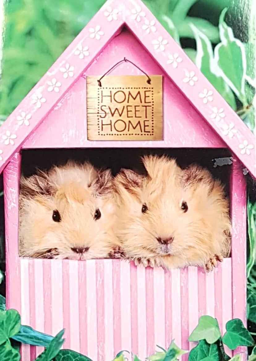 New Home Card  - Two Cute Hamsters In A Pink House