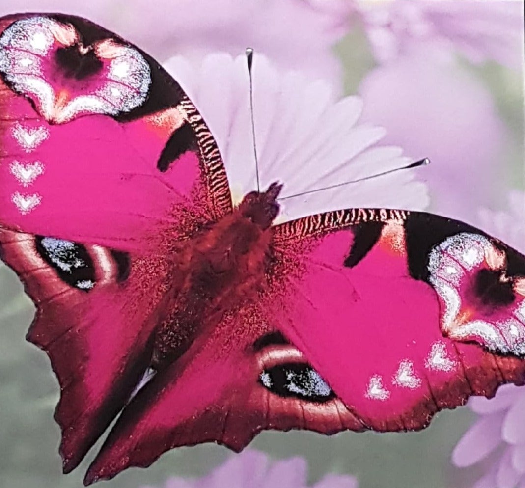 Blank Card - A Beautiful Pink Butterfly & Flowers