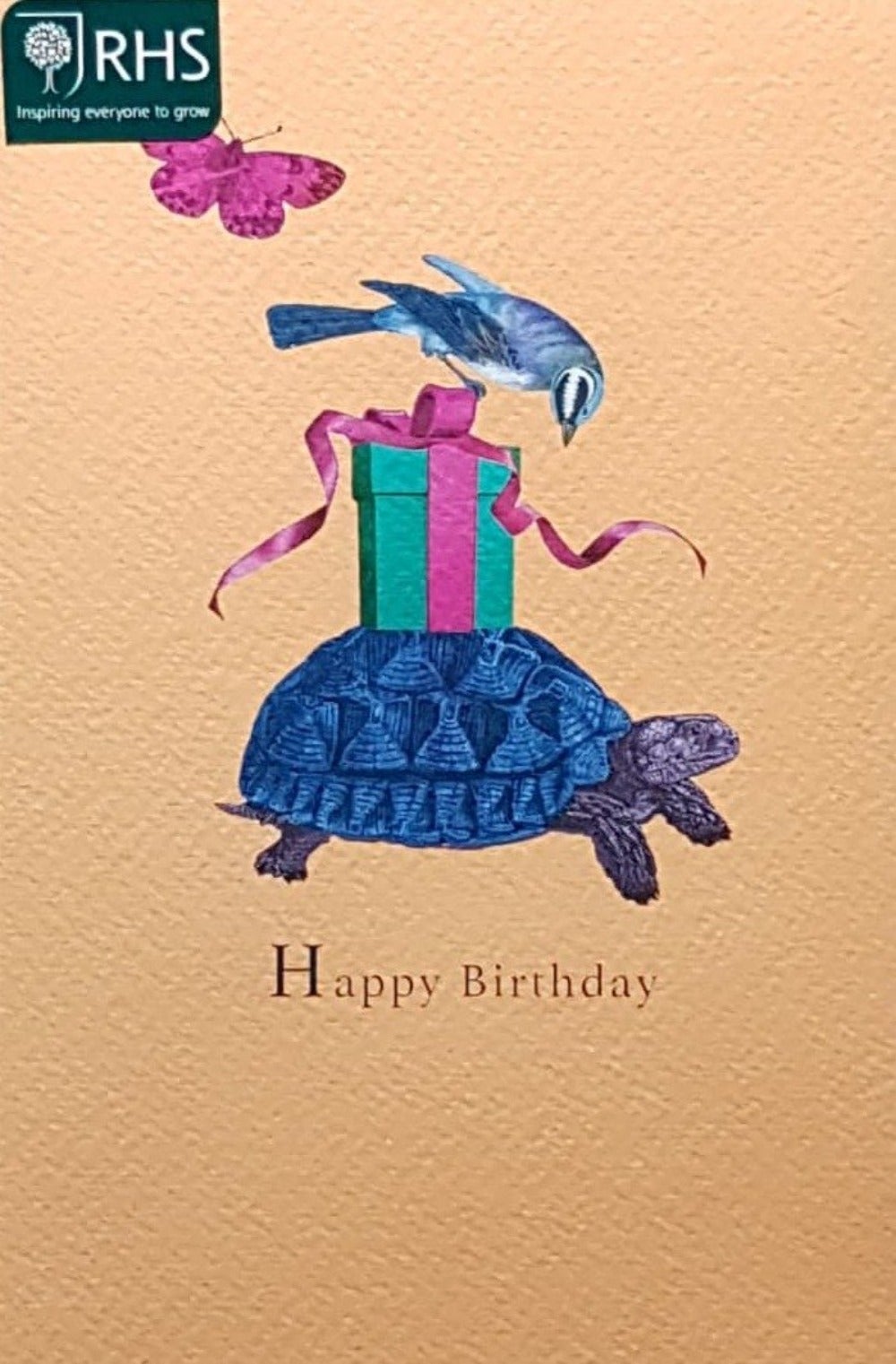 Birthday Card - A Bird On Gift Box Looking Down To A Tortoise