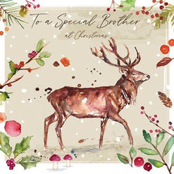 Special Brother Christmas Card - Stag