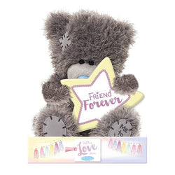General Gift - Soft Toy / Cute Gray Teddy Holding Yellow Star & Friend Forever
