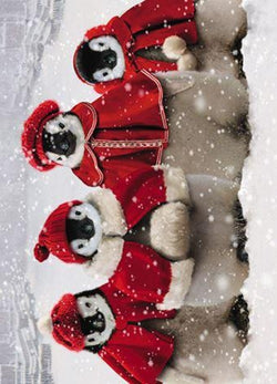 Humour Christmas Card - Penguins Wearing Sweater XMAS