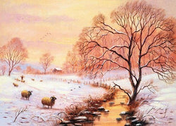 Blank Christmas Card - Sheep In Winter
