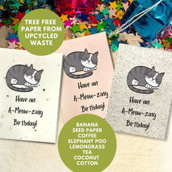 Funny Birthday Card - A Meow Zing Birthday