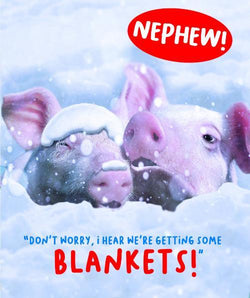 Nephew Humour Christmas Card