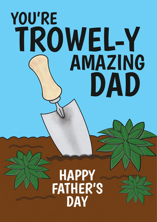 Funny Dad Fathers Day Personalisation