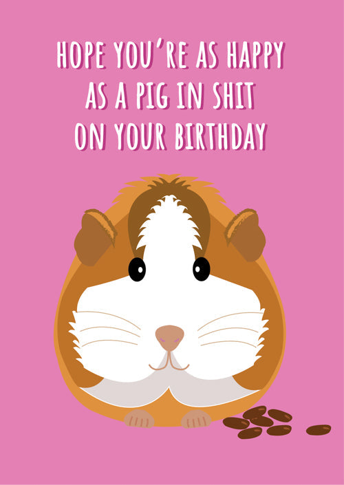 Humour Birthday Card Personalisation 
