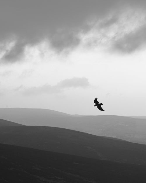 Blank Card Personalisation - Crow Flying Over Hills
