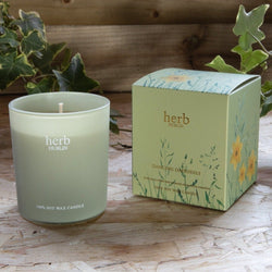 Natural Wax Candle - Dublin Herb / Dancing Daffodils