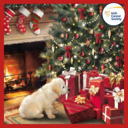 Charity Christmas Card