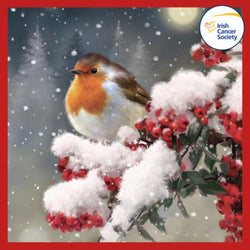 Charity Christmas Card