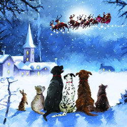 Charity Christmas Card