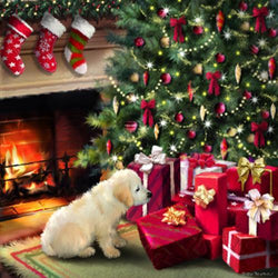 Charity Christmas Card