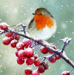 Charity Christmas Card