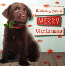 Pet Dog Christmas Card