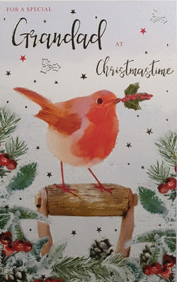 Special Grandad Christmas Card