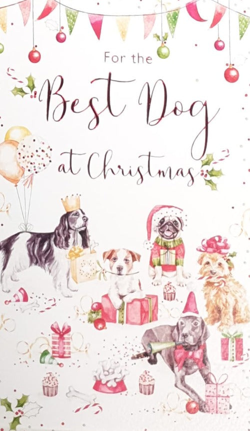 Pet Christmas Card 