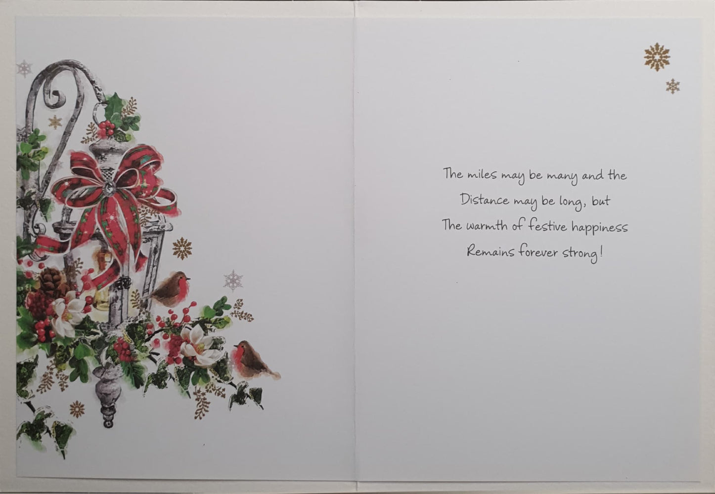 Across The Miles Christmas Card - Cute Robins Perched on Berry Branch & Lamp