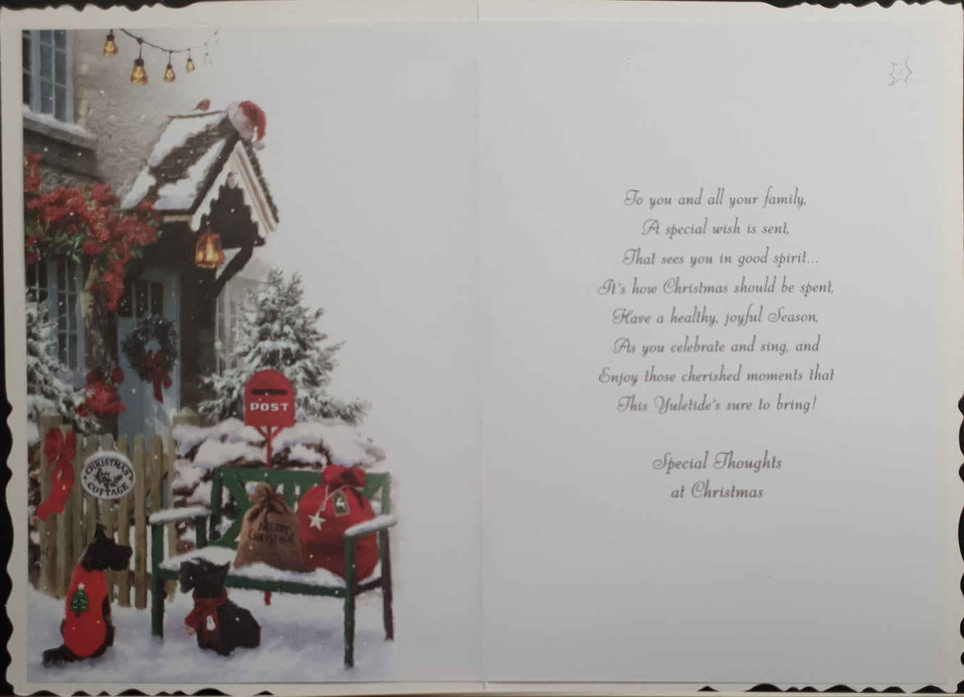 Special Family Christmas Card - House & Dogs