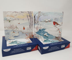 Charity Christmas Cards - Box of 16 / Focus Ireland  - Robins at Frozen Lake