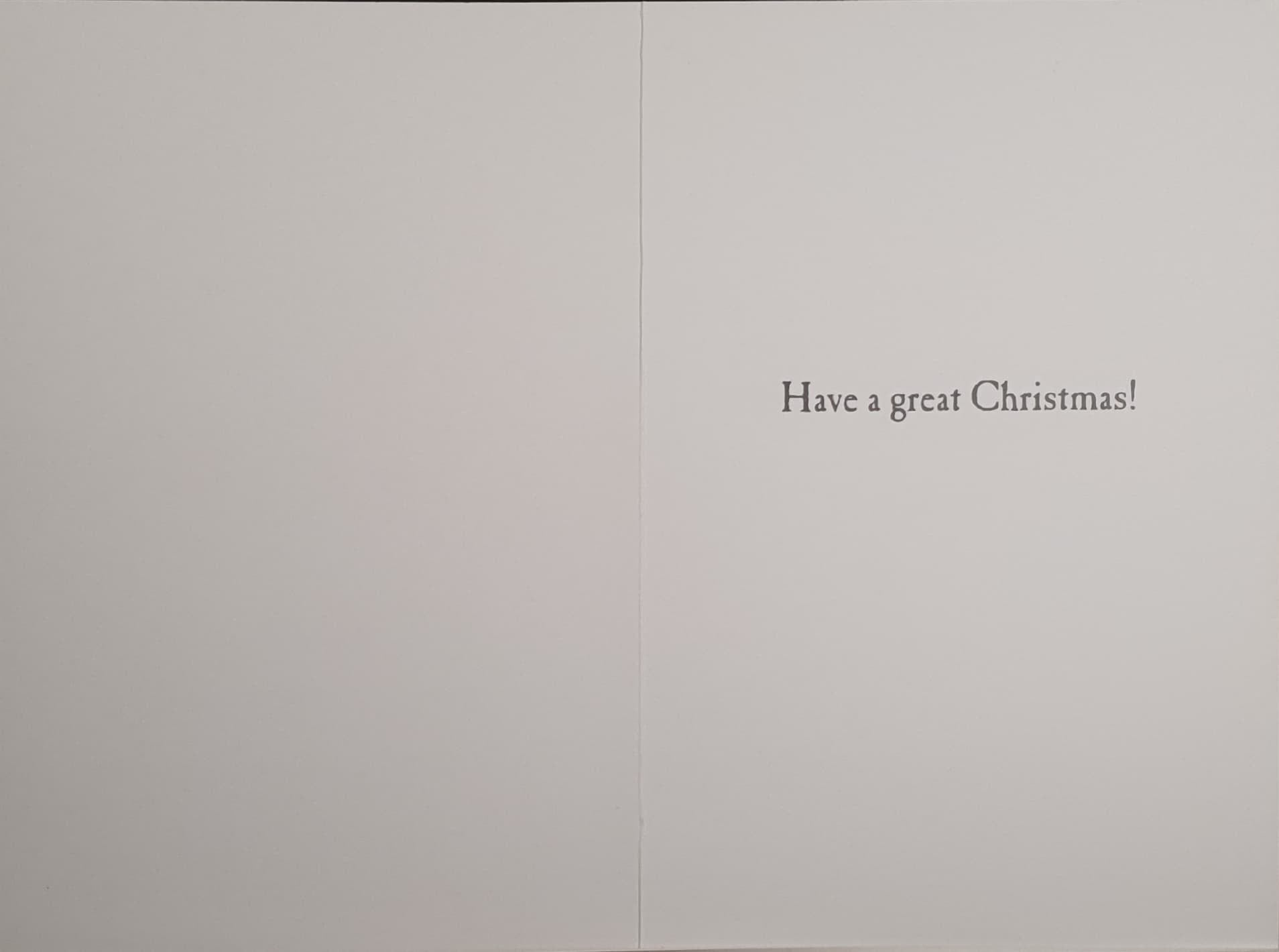 Son Christmas Card - Funny / Crossroad & In His Life