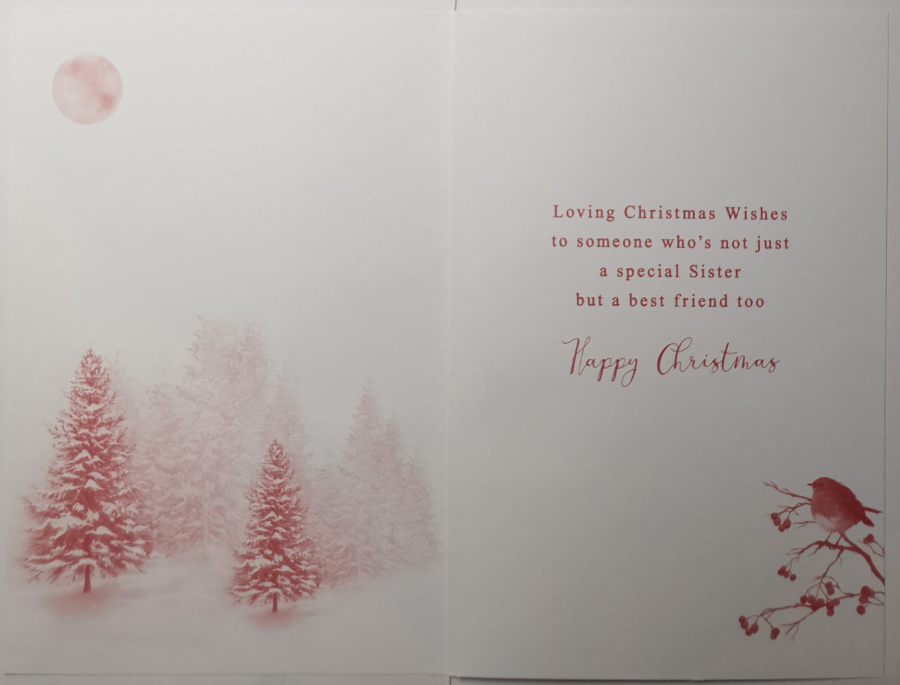 Special Sister Christmas Card - Snowy Trees & Finch