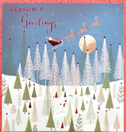 Seasons Greetings Christmas Card