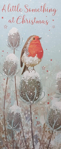 Kids Money Wallet Christmas Card