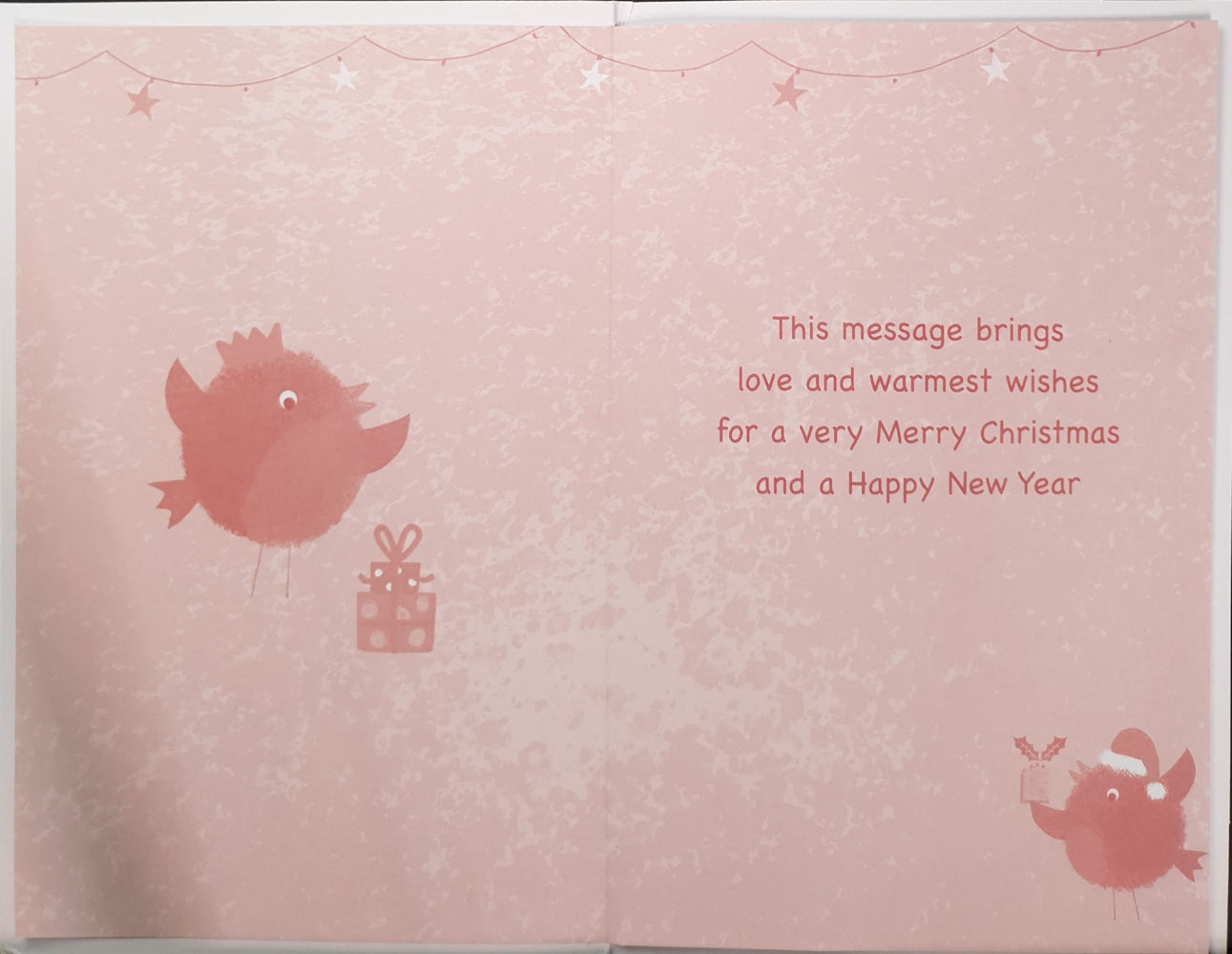Auntie Christmas Card - Birds & The Present