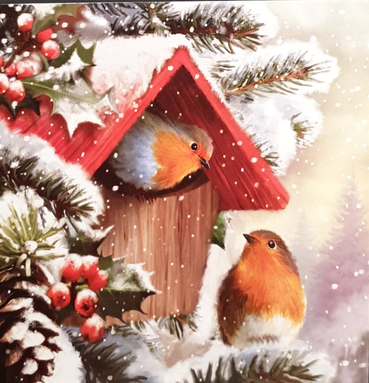 Charity Christmas Card (In Irish & English) - Pack of 8 Large Size / Cystic Fibrosis Ireland - Robins in Birdhouse