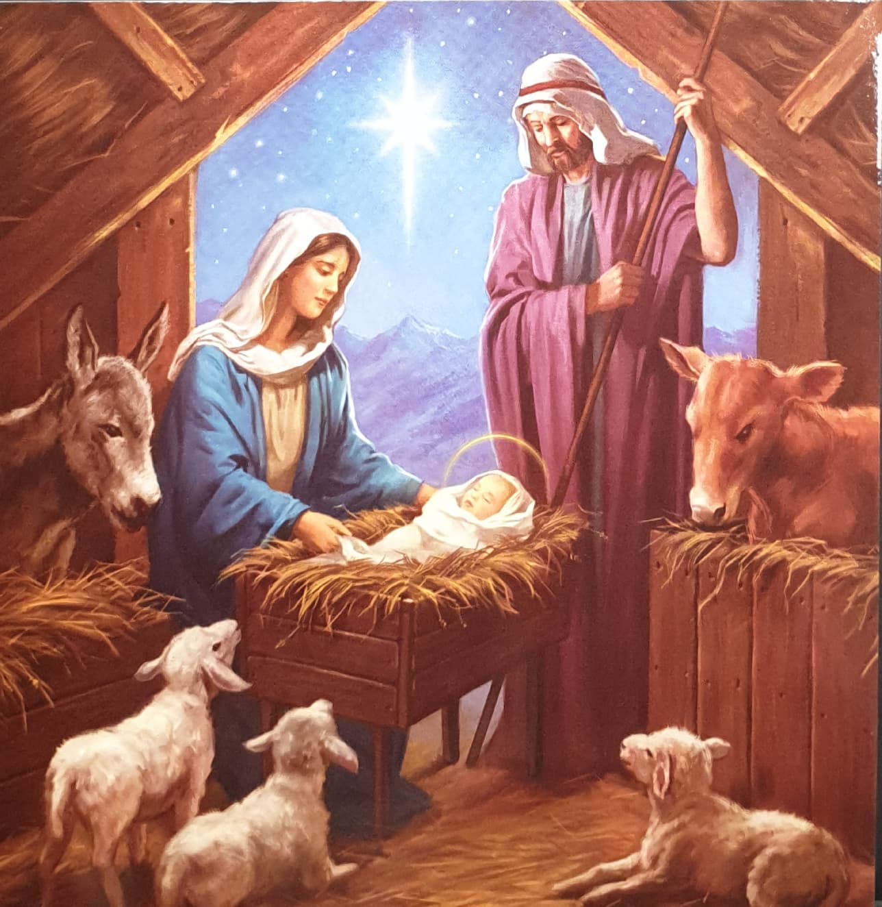 Charity Christmas Card (In Irish & English) - Pack of 8 Large Size / Cystic Fibrosis Ireland - Nativity Scene & Animals