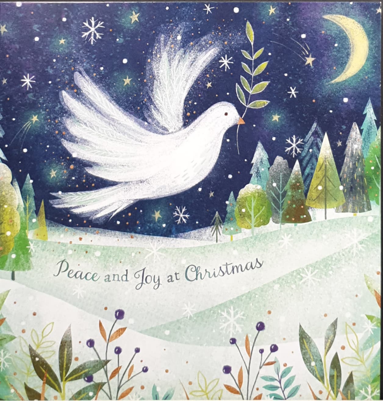 Charity Christmas Card - Pack of 8 Large Size / Northern Ireland Hospice - Dove in Night Sky
