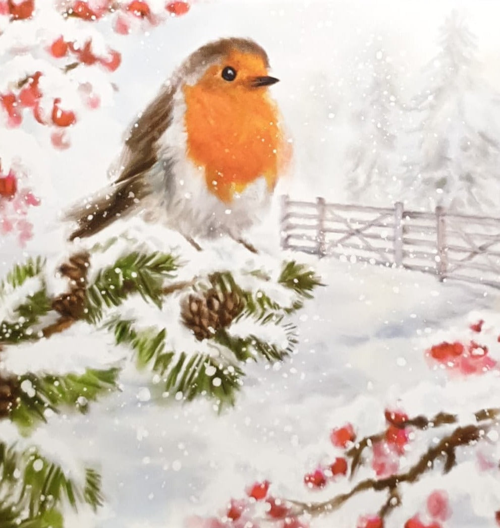 Charity Christmas Card - Pack of 8 Small / Northern Ireland Hospice - Robin on Pine Branch