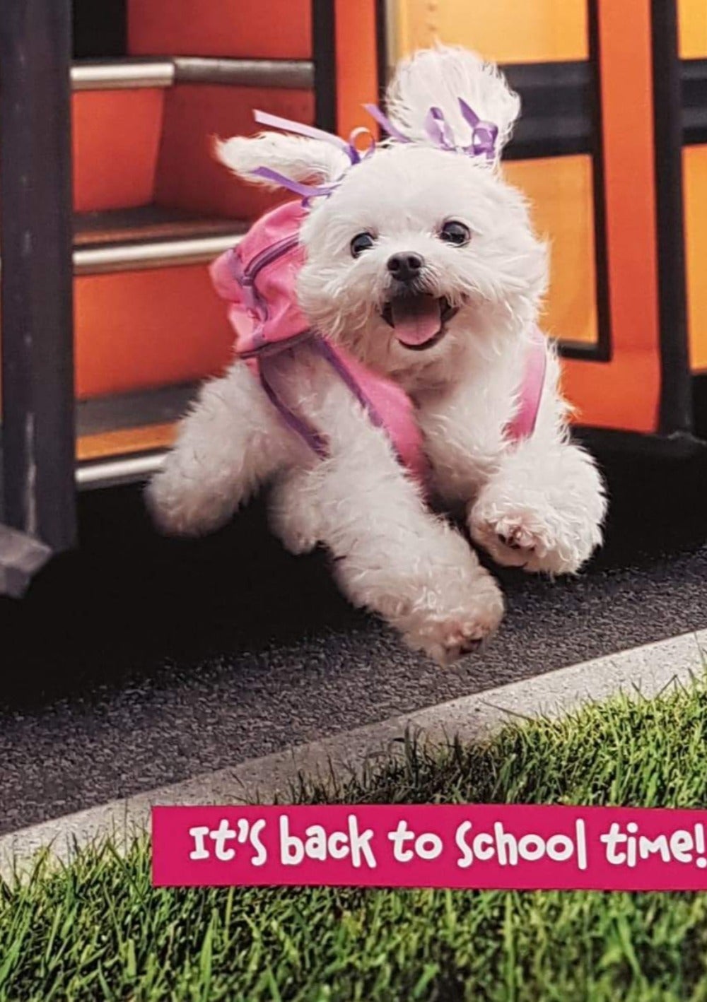New School Card - Cute Dog Wearing Pink Backpack