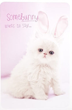 Humour - Pack of Easter Cards