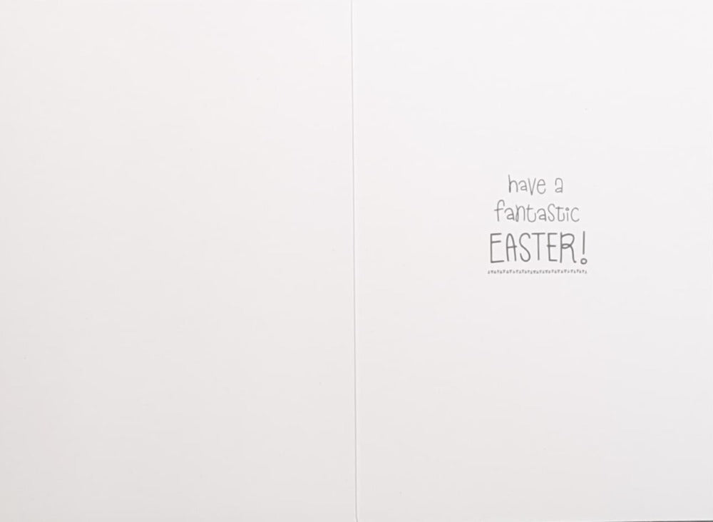 Humour - Pack of Easter Cards