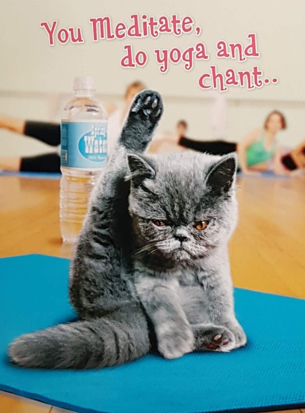 Birthday Card - Humour / Cat Ready For Yoga Excercises