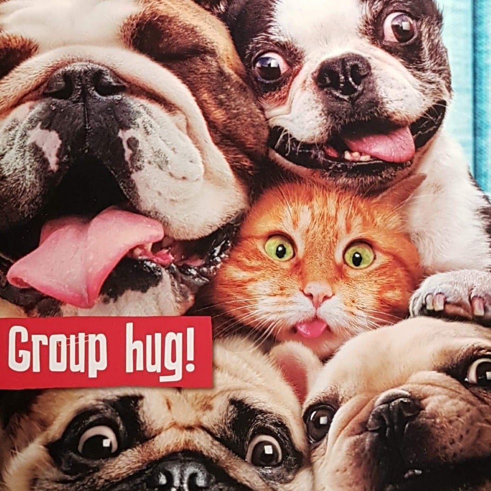 Birthday Card - Humour / Group Hug Dogs & Cat