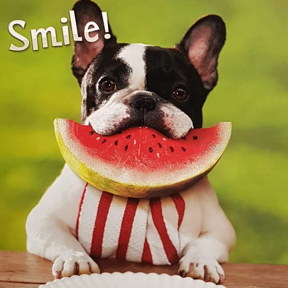 Birthday Card - Humour / Dog Eating Watermelon & Smile