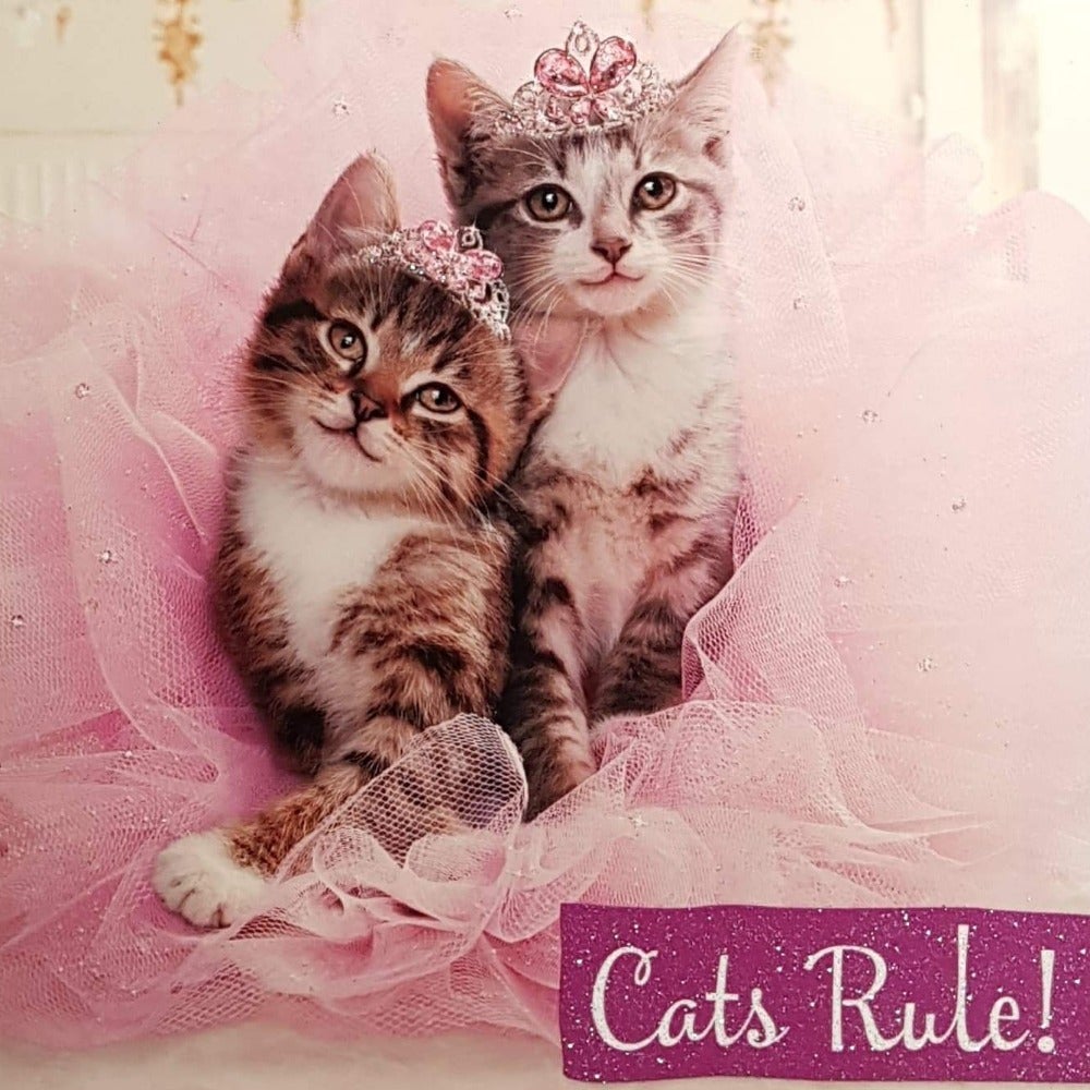 Birthday Card - Humour / Cats Rule