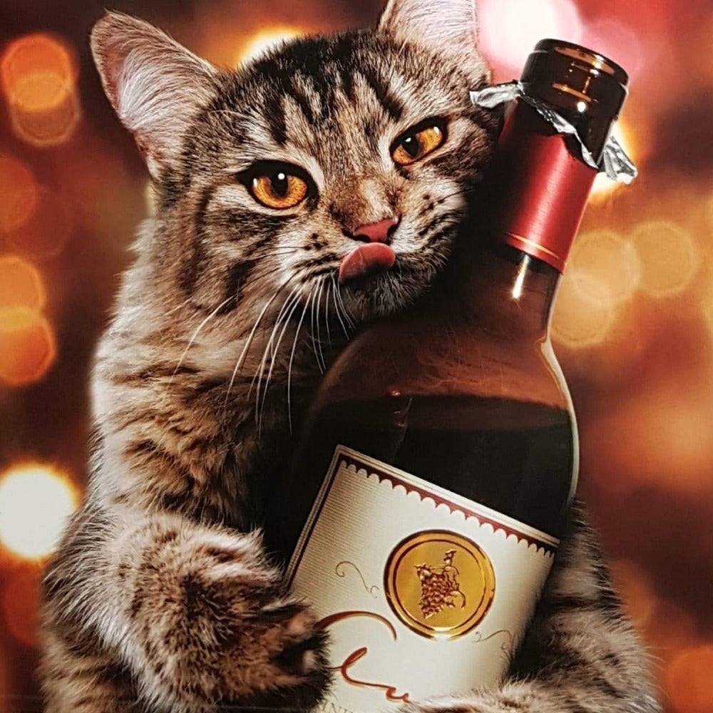Blank Card - Humour / Cat Holding Full Bottle Of Wine