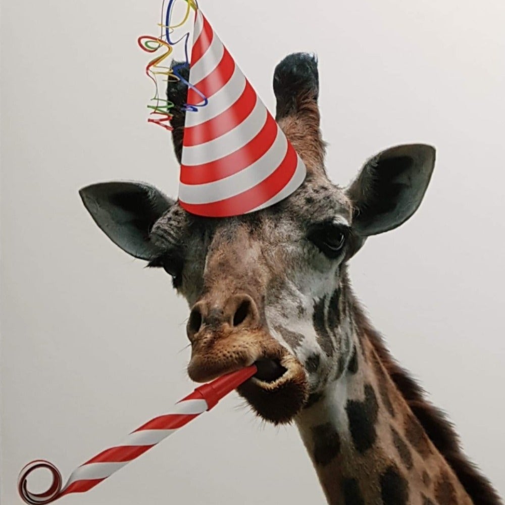 Blank Card - Animals / The Giraffe On The Party