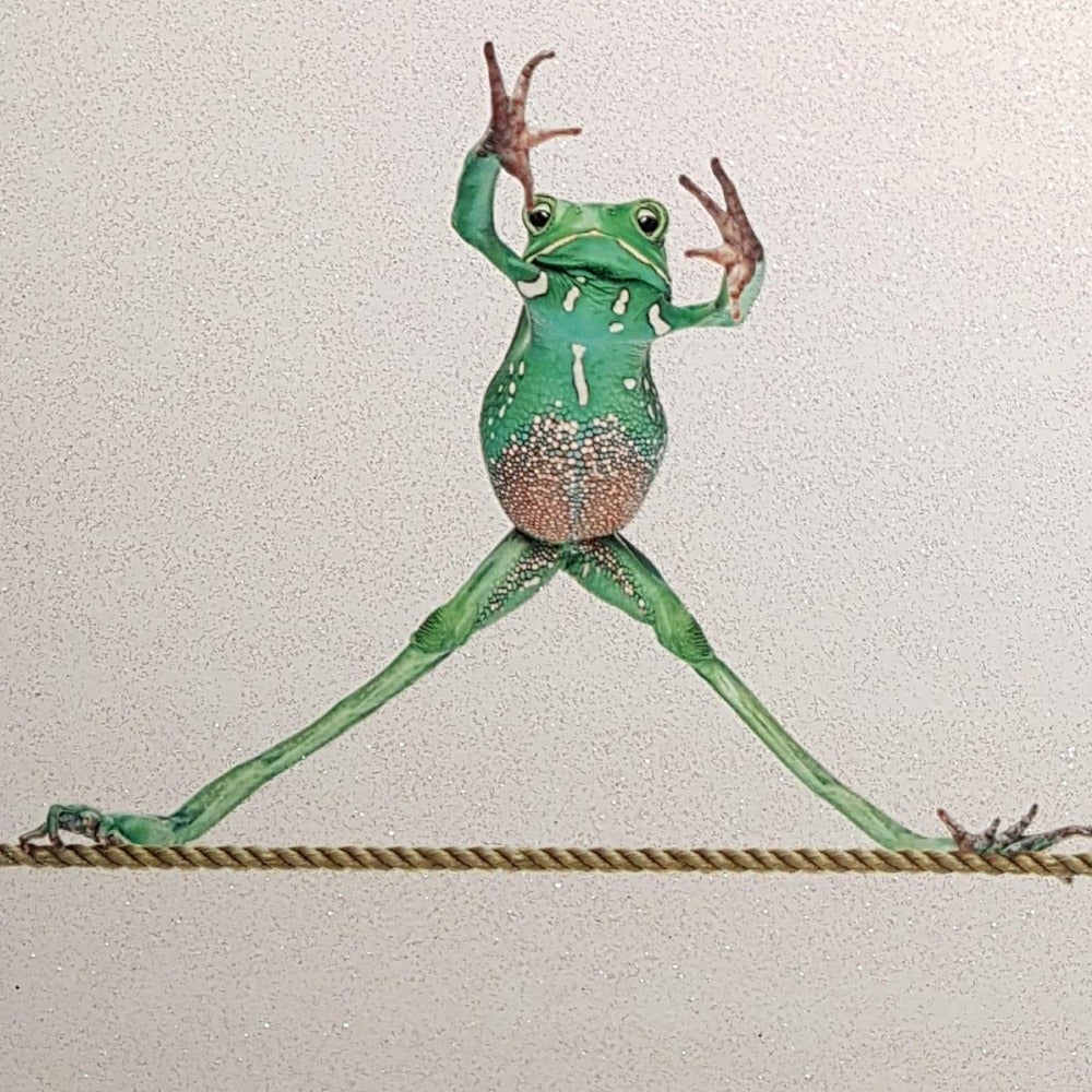 Blank Card - Animals / The Frog On The Rope & Doing The Splits