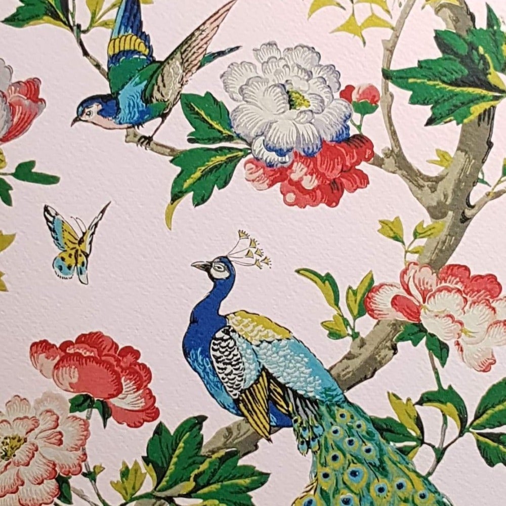 Blank Card - Peacock & Bird on Colourful Tree