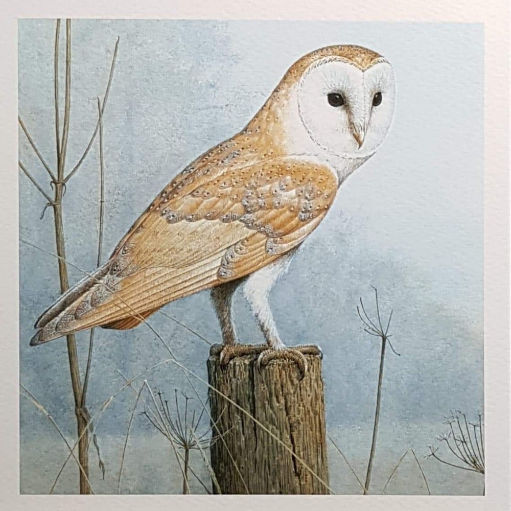 Birthday Card - Animals / Barn Owl on a Fence Post