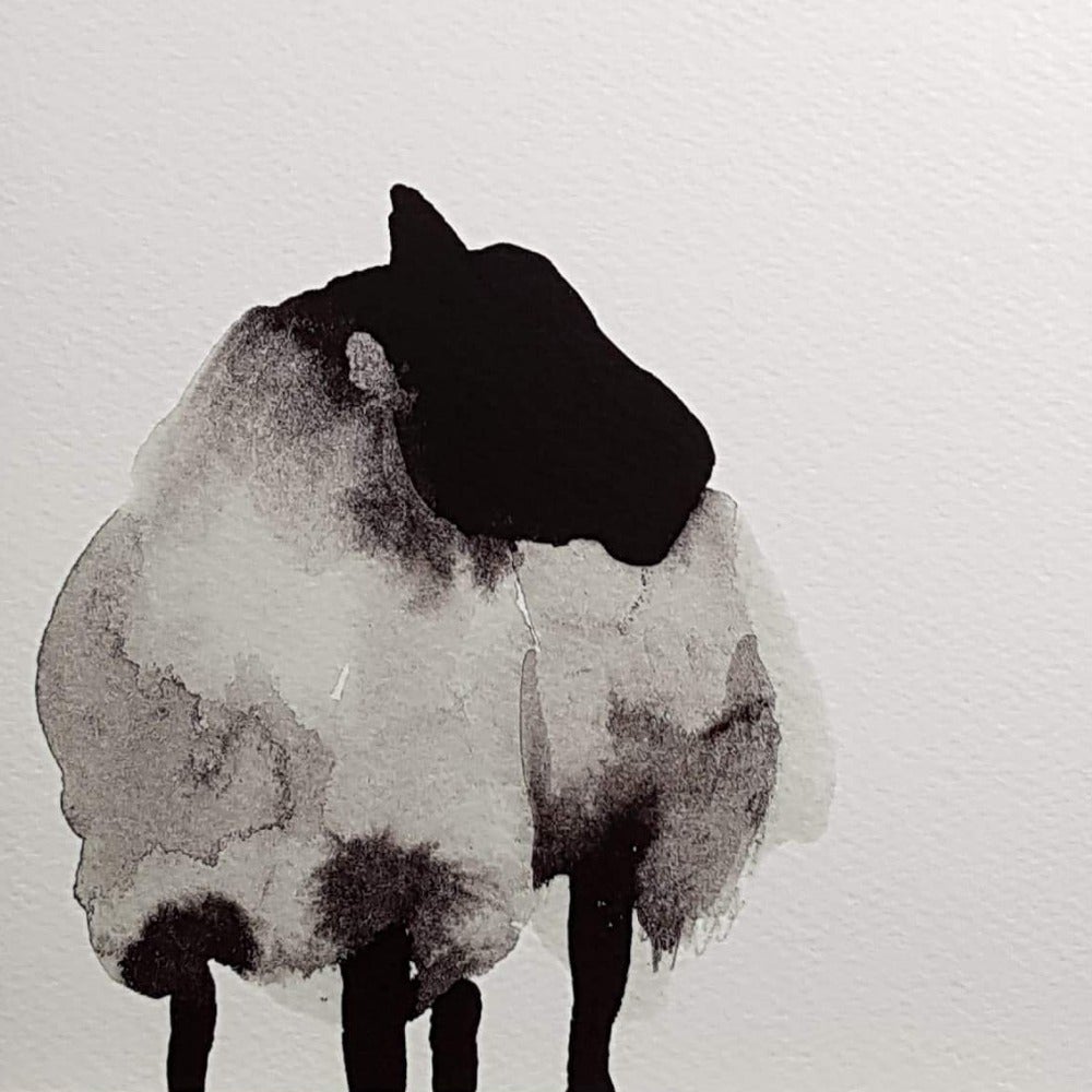 Blank Card - Animal / Black Sheep