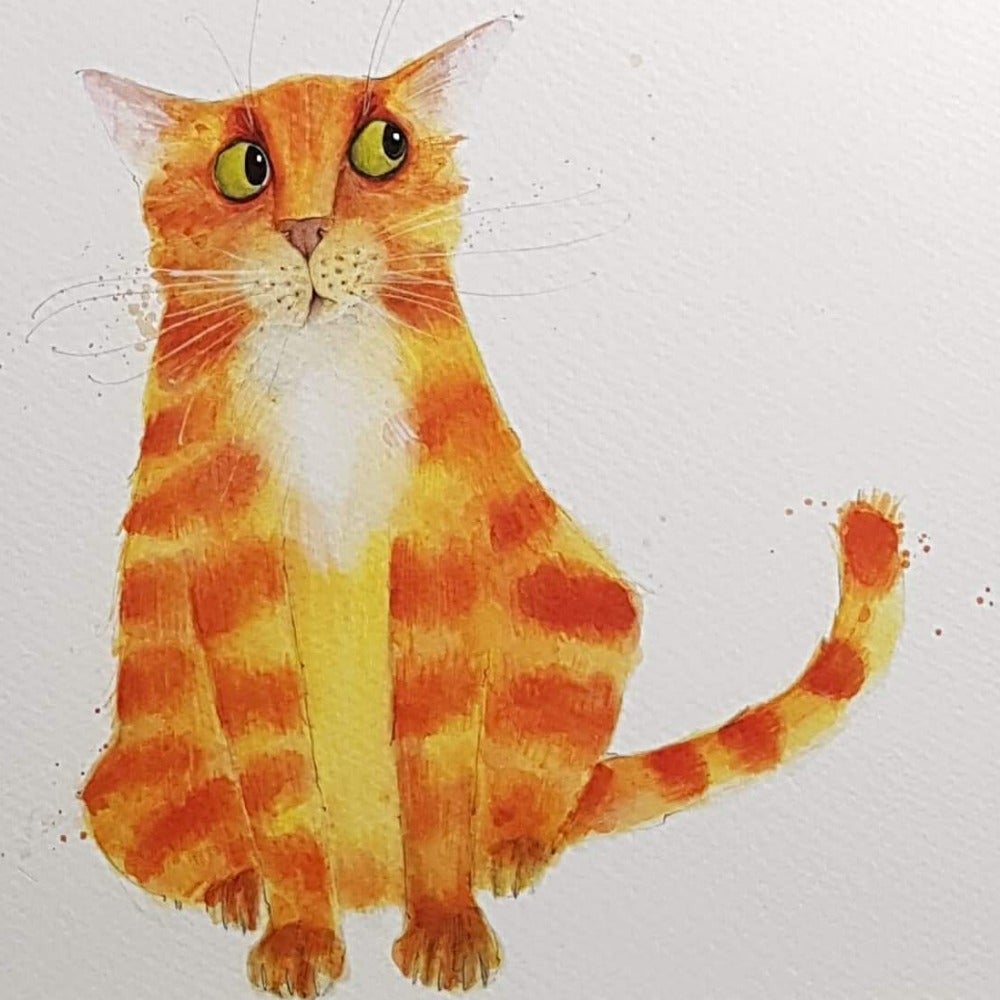 Blank Card - Animal / Ginger Cat