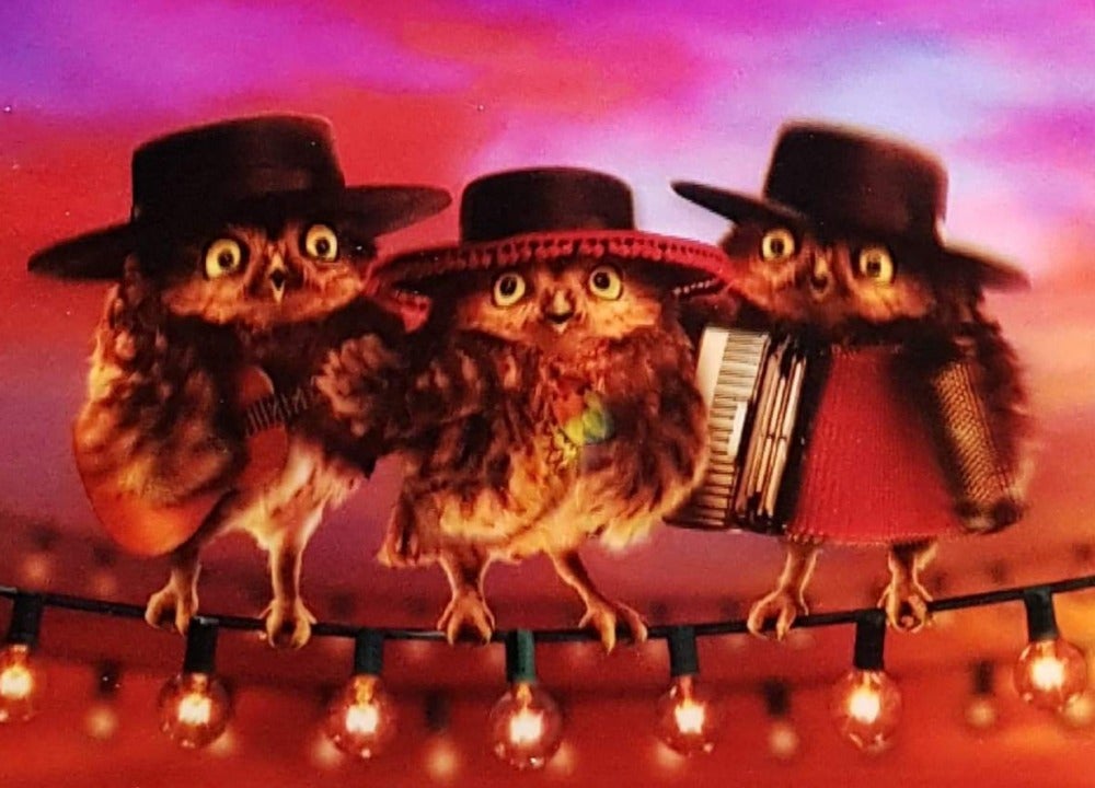 Birthday Card - 3D Card /  Three Funny Owls with Hats & Accordion