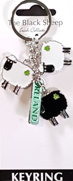 General St Patricks Day Gift - Keyring