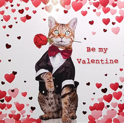 General Valentines Day Card